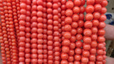 Bamboo Coral