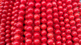 Bamboo Coral