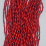 Bamboo Coral