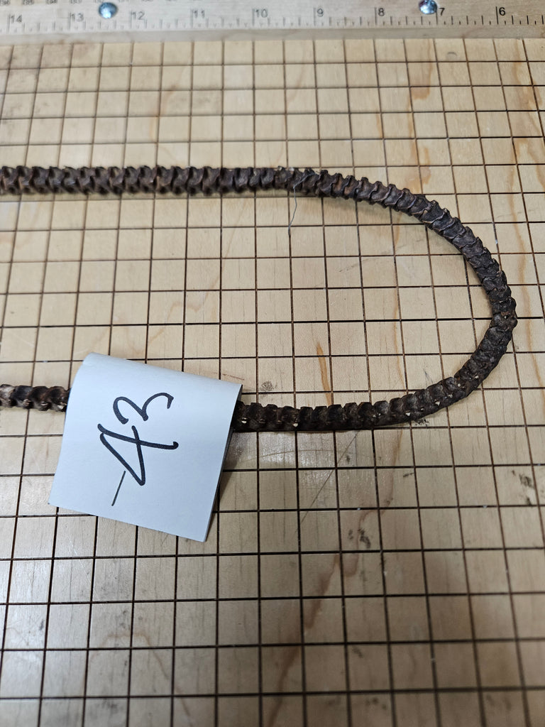 African Snake Vertebrae Beads